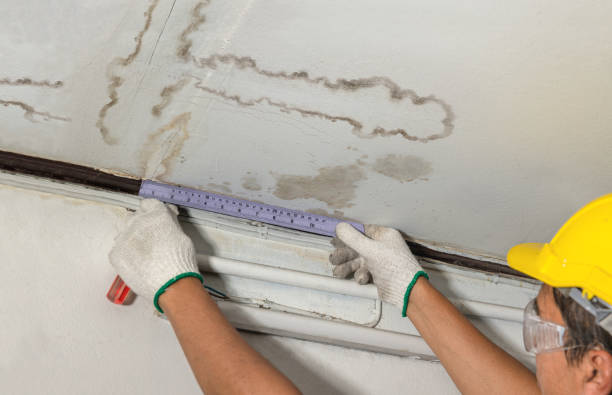 Reliable Burst Pipe Cleanup contractor in Sublimity, OR by Water Damage Irwin